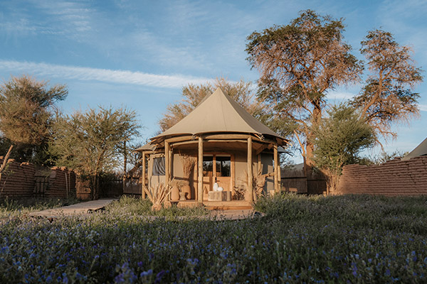 Luxury Tent - Imagen 3